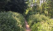 Trail Walking Seneffe - BE-Seneffe - Arquennes - Hameau Les Bois et l'ancien canal - Photo 7