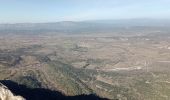 Trail Walking Mas-de-Londres - Mas de Londres - le Pic St Loup du 05-02-2024 - Photo 3
