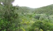 Percorso A piedi Querença, Tôr e Benafim - Fonte Benémola - Photo 9