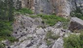 Tour Wandern Roquefort-sur-Soulzon - le Combalou par le sentier des échelles - Photo 5