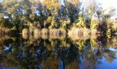 Percorso A piedi Sconosciuto - Naturlehrpfad obere Lobau (Saltenstraße Rundweg) - Photo 3