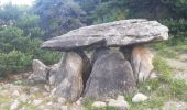 Randonnée Marche Pontis - PONTIS , le dolmen  - Photo 8