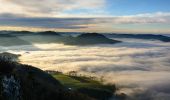 Tour Zu Fuß Gemeinde St. Georgen an der Leys - Melkursprung (St. Georgen an der Leys) - Photo 3