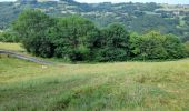 Tour Wandern Golinhac - live Golinhac - Conques  - Photo 7