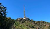 Trail On foot Saint-Raphaël - Esterel - Grues depuis Lentisque - Photo 1