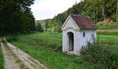 Tocht Te voet Kipfenberg - Rundwanderweg Kipfenberg 12 - Photo 6