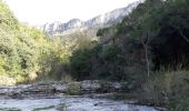 Randonnée Marche Pégairolles-de-l'Escalette - Falaises de l'Escalette - Photo 4