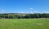 Trail Walking Meix-devant-Virton - rando gerouville 6-07-2023 - Photo 12