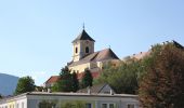 Tocht Te voet Gemeinde Kirchberg am Wechsel - Wanderweg Saurücken - Photo 5