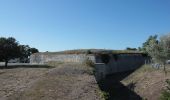 Tocht Te voet Rivedoux-Plage - Sentier du littoral - Photo 7