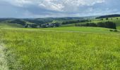 Tour Wandern Sankt Vith - Lommersweiler  variante chouette  - Photo 9