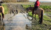 Tocht Paardrijden Reherrey - Mardi 27 février 24 Tivio reherey  - Photo 1