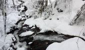 Tour Wandern Lepuix - Rando raquettes Ballon d'Alsace depuis Saut de la Truite  - Photo 20