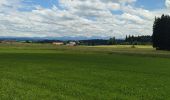 Excursión Bici eléctrica Leutkirch im Allgäu - Centerparcs Allgäu - Kisslegg - Photo 6