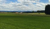 Tour Elektrofahrrad Leutkirch im Allgäu - Centerparcs Allgäu - Kisslegg - Photo 6