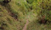 Trail Walking Vernaux - Vernaux par unac - Photo 9