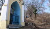 Tour Zu Fuß Gemeinde Gumpoldskirchen - Beethoven-Spazierweg - Photo 4