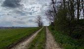 Randonnée Marche Berchem-Sainte-Agathe - Tour ferme 1700 -7,6 km - Photo 3