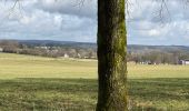 Trail Walking Gouvy - Gouvy 23 km  - Photo 14