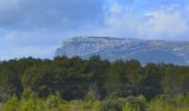 Tour Wandern Le Castellet - SityTrail - 2361987 - begude - Photo 1