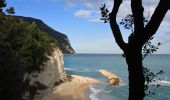 Percorso A piedi Ancona - Traversata del Conero - Photo 10