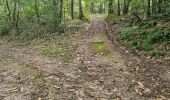 Tour Wandern Les Roches-l'Évêque - Les Roches-l'Evêque - Photo 9