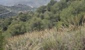 Trail Walking Canillas de Albaida - CIRCULAR_TAFRAOUTE - Photo 4
