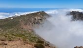 Excursión Senderismo Garafía - La Palma 5 : GR131- Roque de Los Muchachos - Pic de la Nieve - Photo 15