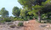 Excursión Senderismo Leucate - leucate - la franqui (via le plateau) - phare (via la falaise) - leucate (via le plateau) - Photo 6