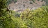Trail Walking Arcy-sur-Cure - Arcy sur cure - Boucle des grottes - Photo 14
