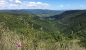 Randonnée Marche Les Plans - Forêt domaniale d'Escandorgue par Roqueredonde et l'Engayresque - Photo 3