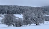 Tocht Stappen Murol - Le tour de Beaune le froid  - Photo 12