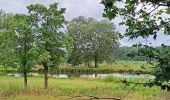 Tour Wandern Abbeville - Abbeville chemin du Pâtis - Photo 15