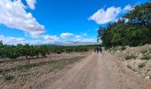 Tour Wandern Pourrières - Pourcieux - Mt. Olympe - Rocher de Onze Heures - Photo 4