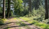 Trail Walking Vielsalm - Becheva piéton - Photo 11