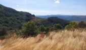 Tocht Stappen Arrigas - de Arrigas au Mont saint Guiral - Photo 18