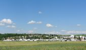 Tour Zu Fuß Gemeinde Mistelbach - tutgut-Wanderweg Route 1 - Photo 8