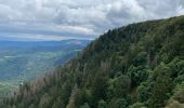 Trail Walking Le Valtin - Col de la Schlucht - Photo 3