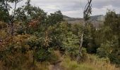 Tocht Stappen Chaudfontaine - bois les dames autour de chaudfontaine - Photo 6