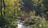 Tour Wandern Unknown - Lacs de Plitvice  - Photo 5