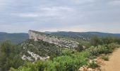 Tour Wandern Cassis - rando les cigales la couronne de Charlemagne  - Photo 1