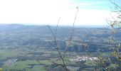 Trail Walking Saint-Christophe-sur-Guiers - COL DE LA RUCHERE - Photo 4