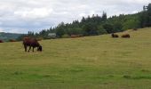 Trail Walking Murat - Murat - La Bonnevie de Saint-Antoine - Photo 8