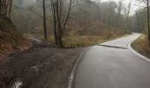 Trail On foot Nandrin - Les rochettes Bois des dames - Photo 1