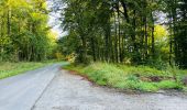 Trail Walking Largny-sur-Automne - en Forêt de Retz_90_09_2021_la Selve - Photo 2
