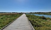 Randonnée Marche Talmont-Saint-Hilaire - Autour de Port Bourgenay - Photo 3