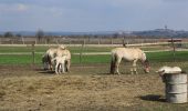 Percorso A piedi Lužec nad Vltavou - NS Vrbno - Zelčín - Photo 4