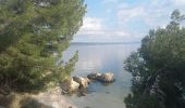 Trail Walking Istres - Le Ranquet-Istres 30.11.24 - Photo 5