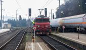 Percorso A piedi Mureck - Grenzland Bahnweg - Photo 10