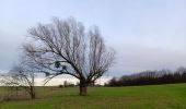 Tocht Stappen Comblain-au-Pont - autour d Oneux  - Photo 1